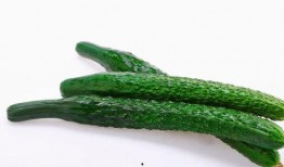 热门大瓜每日更新校园网红,每日热门大瓜新鲜速递